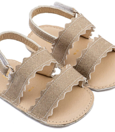 MI1659-PLATINUM1-BABYWALKER